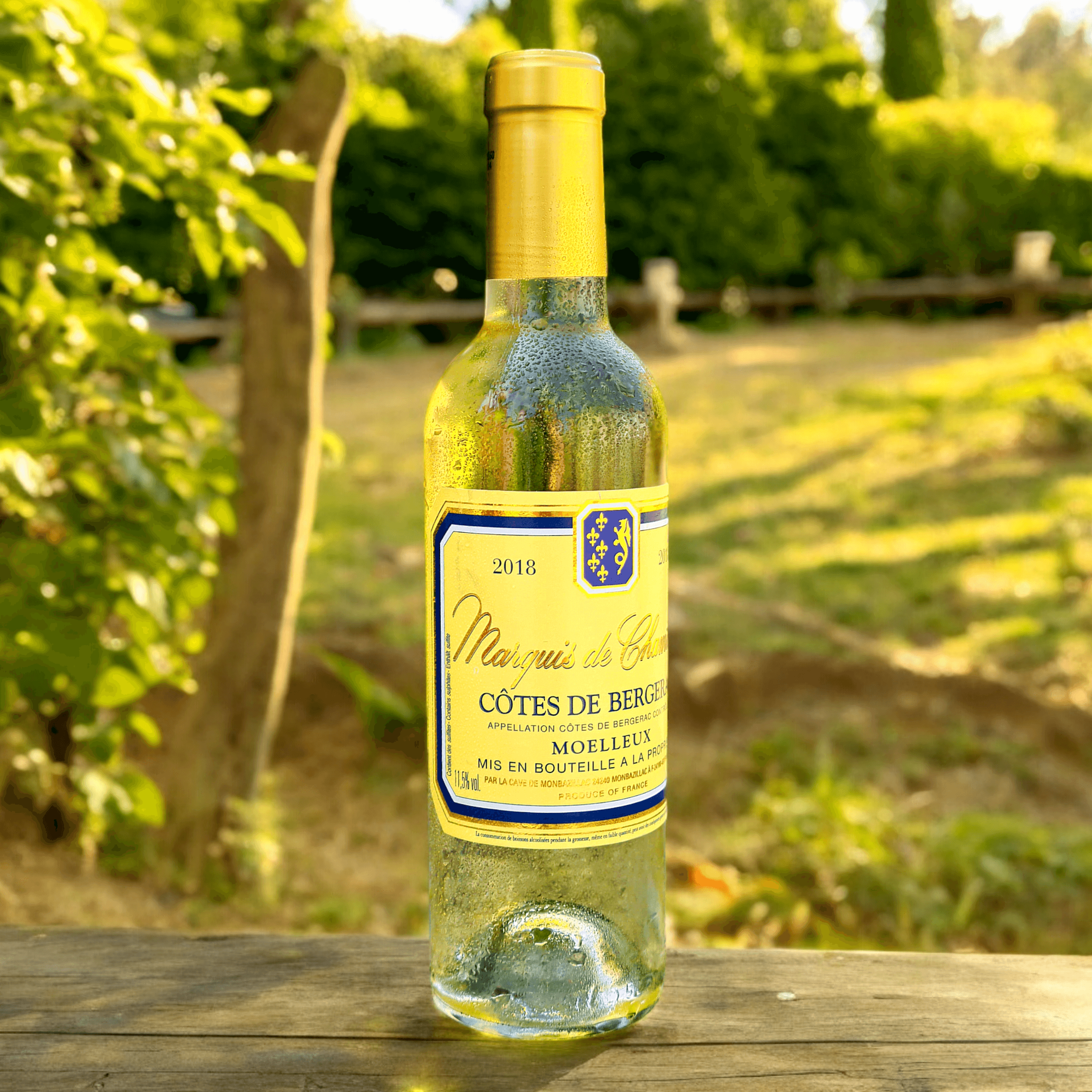 Cadeau Gourmand - Côtes de Bergerac - 24/48h - C est Cela